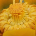 8684