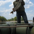 Андреевка, 2011