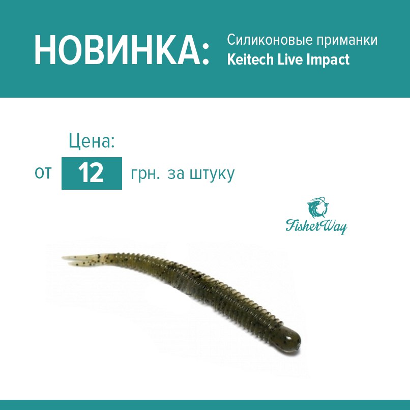 Изготовление силиконовых приманок бизнес план